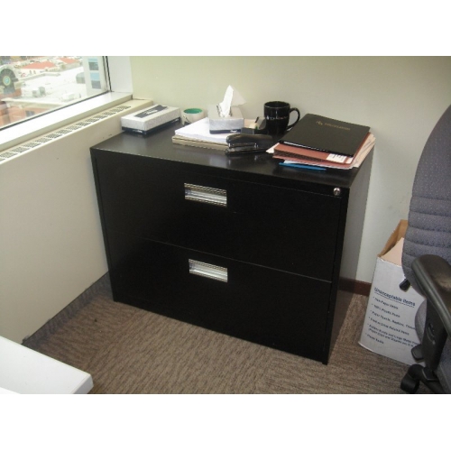 Global 2 Drawer Lateral File Black Allsold.ca Buy & Sell